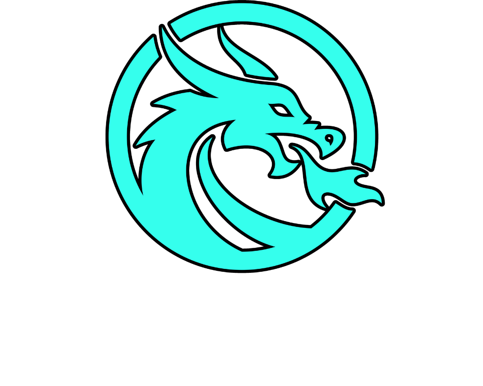 SKT Innovations white text logo